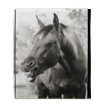 Funny Laughing Horse iPad Folio Cover