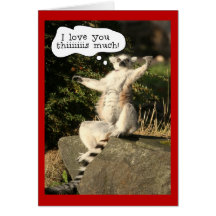 Funny Lemur Love You This Much Valentines Day Cards