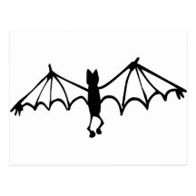 Funny Little Bat Post Card