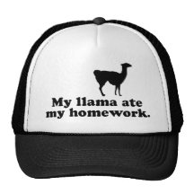 Funny Llama Hats