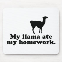 Funny Llama
