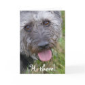 Funny Looking Dog Greeting Card