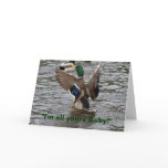 Funny Mallard Duck Birthday Card