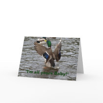 Funny Mallard Duck Birthday Card