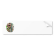 Funny Monkey Picture Bumper Sticker