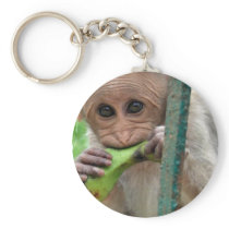 Funny Monkey Picture Keychain