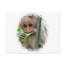 Funny Monkey Picture Postcard