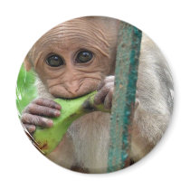 Funny Monkey Picture Round Pin Magnets