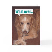 Funny Mutt with Atitude Birthday Card