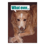 Funny Mutt with Atitude Birthday Card