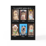 Funny Nephew Birthday cards