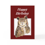 Funny Old Age, Over the Hill Birthday Owl cards