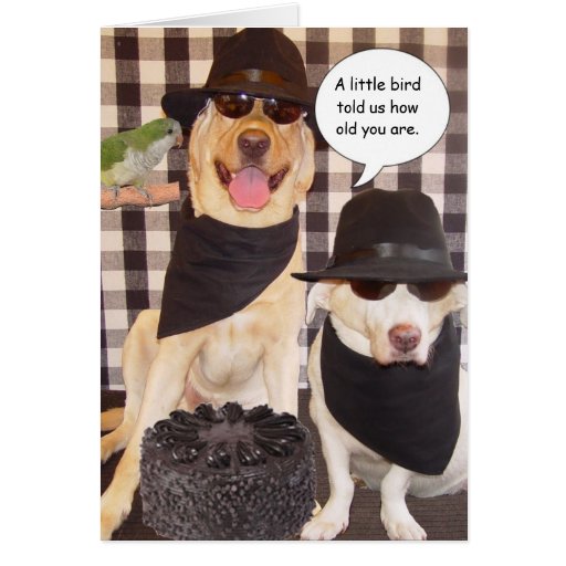 Funny Over the Hill Card