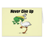 Funny Pelican cards