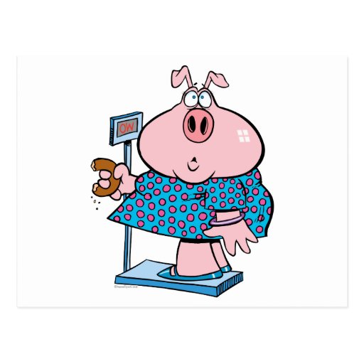 funny pig on a diet eating a doughnut on a scale postcard