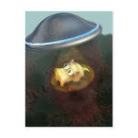 Funny Pig UFO Abduction Postcard
