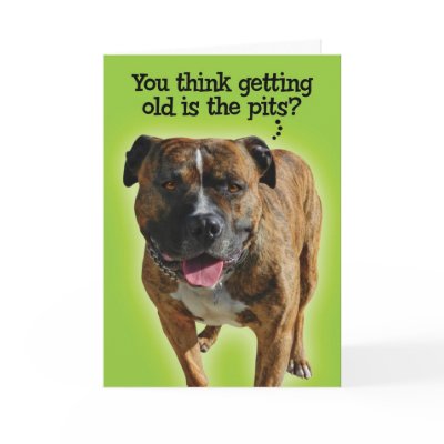 Funny Pit Bull Birthday Card