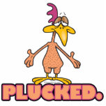 funny PLUCKED naked chicken cartoon character photo sculptures