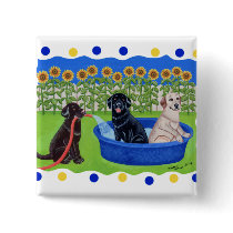 Funny Pool Party Labradors