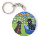 Funny Pool Party Labradors