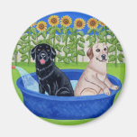 Funny Pool Party Labradors Magnets