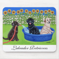 Funny Pool Party Labradors