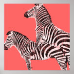 Funny Poster Two Headed Zebra posters