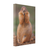funny prairie dog canvas prints