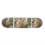 Funny Prairie Dogs Skateboard
