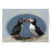 Funny puffins greeting cards