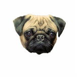 Funny Pug Photo Sculpture Magnet photo sculptures