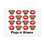 Funny Pug