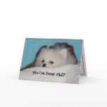 Funny Puppy Birthday Card