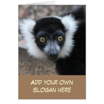 Funny Ruffed Lemur Photo to Customise Yourself