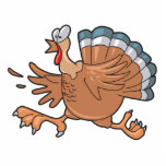 funny scared turkey photo sculptures