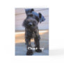 Funny Schnauzer Birthday Card
