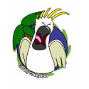 Funny Screaming Citron Cockatoo t-shirts