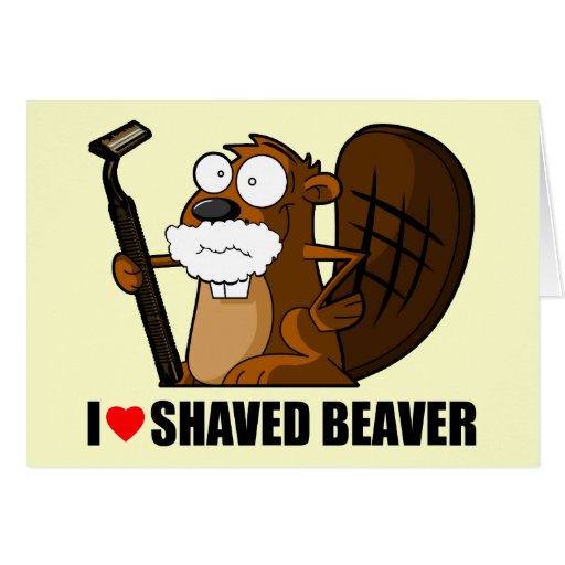 Shaved Beaver Photos 114