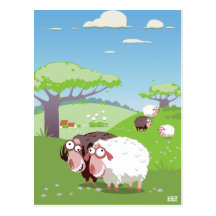 Funny Sheep Post Cards