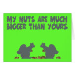 Funny squirrel cards
