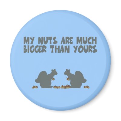 Funny Squirrel nuts Fridge Magnets by LIMEYBOY