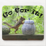 Funny Squirrel Picture ~ Go For It! mousepads