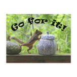 Funny Squirrel Picture ~ Go For It! postcards