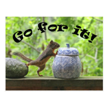 Funny Squirrel Picture ~ Go For It! Postcard