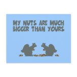 Funny squirrel postcards