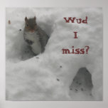 Funny Squirrel Saying Poster posters
