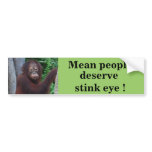 Funny Stink Eye bumper stickers