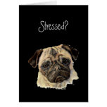 Funny, Stressed? Hug a Pug!, Dog, Pet, Animal cards