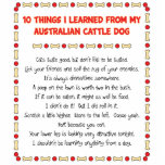 Funny Things I Learned From Australian Cattle Dog Cut Out