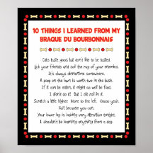 Funny Things I Learned From Braque du Bourbonnais Print